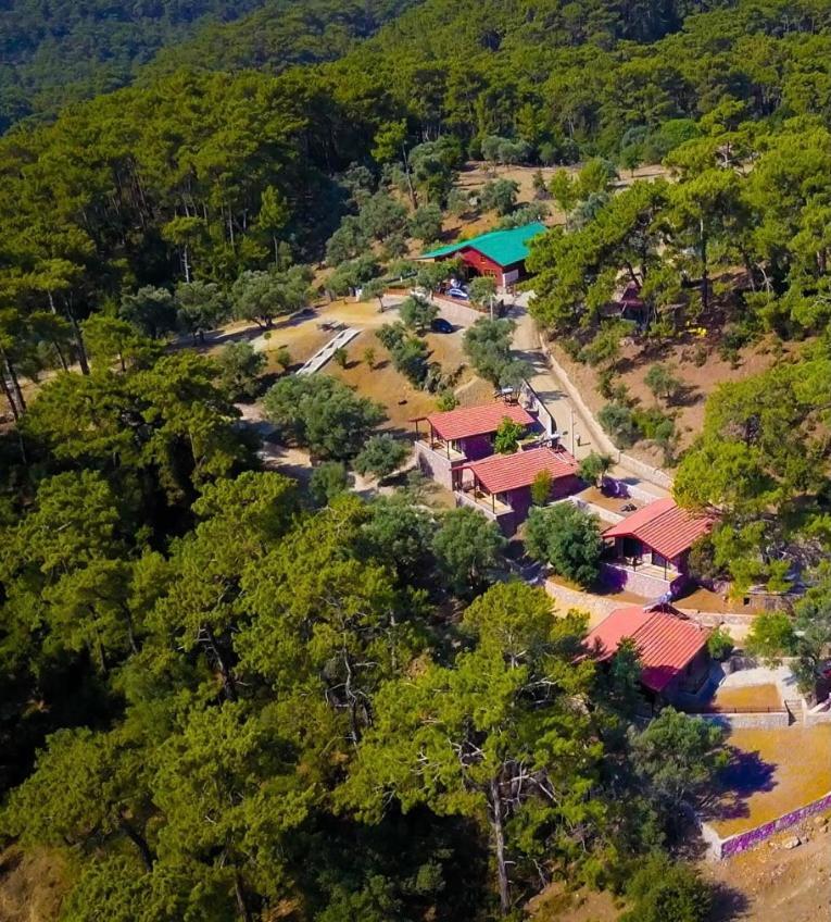 Candir Resort Restaurant Muğla Luaran gambar